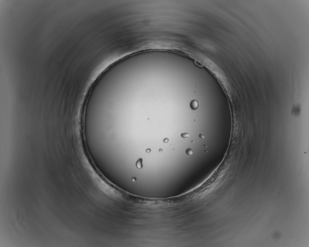 X0000100750803200807031334