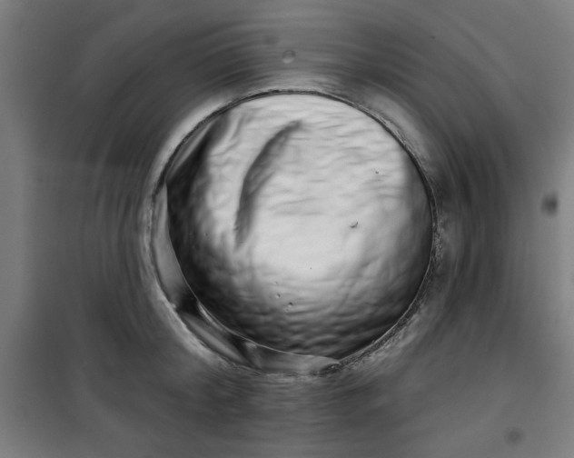 X0000100750804200807031334