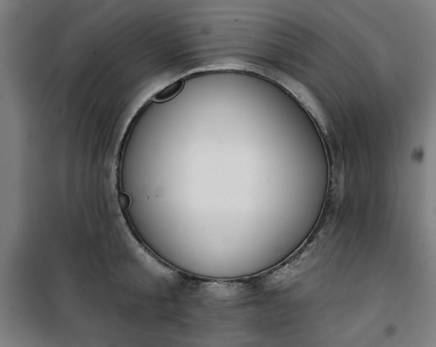 X0000100750805200807031334