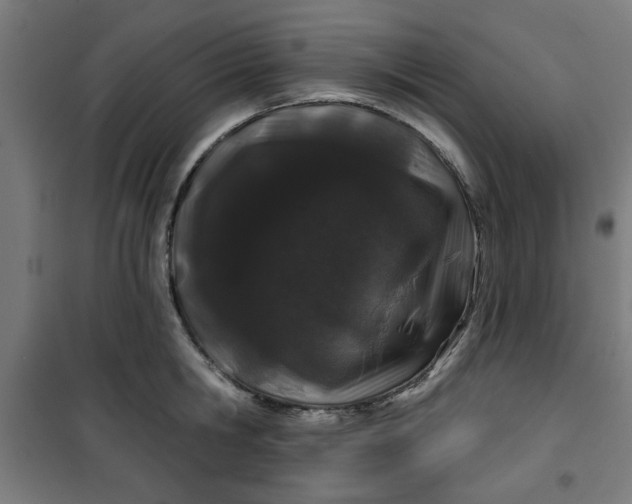 X0000100750806200807031334