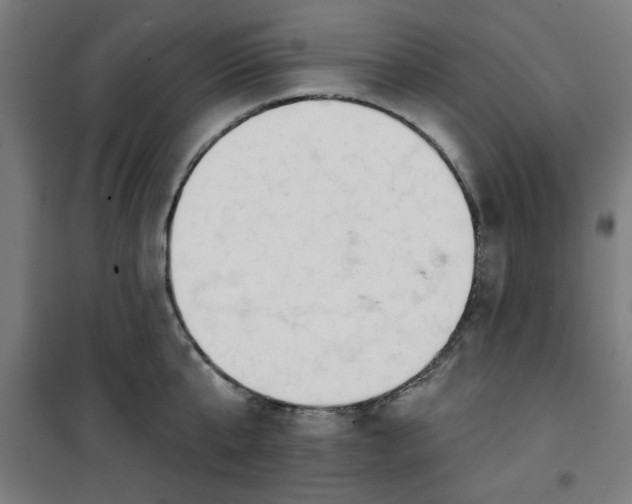 X0000100750807200807031334