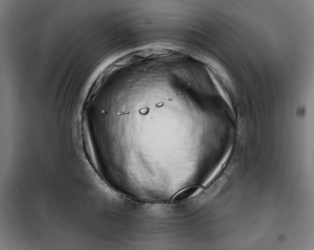 X0000100750808200807031334