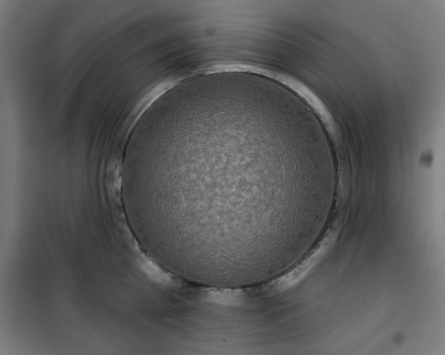 X0000100750809200807031334