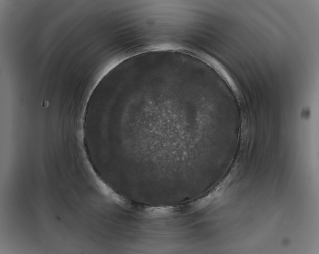 X0000100750810200807031334