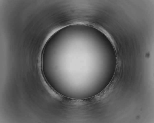 X0000100750811200807031334