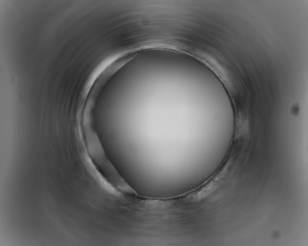 X0000100750812200807031334