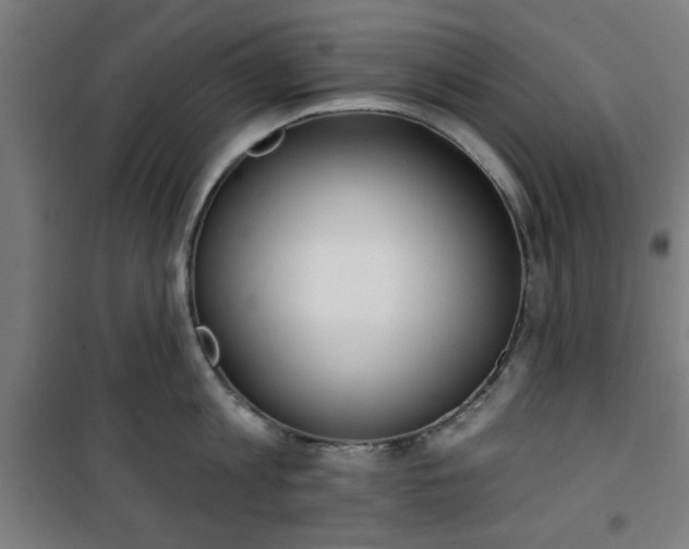 X0000100750813200807031334