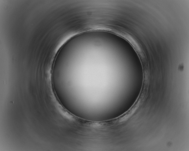 X0000100750814200807031334