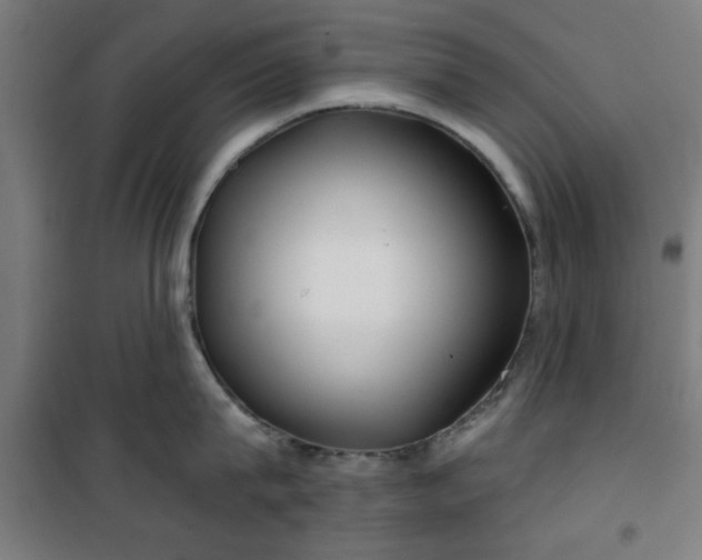 X0000100750815200807031334