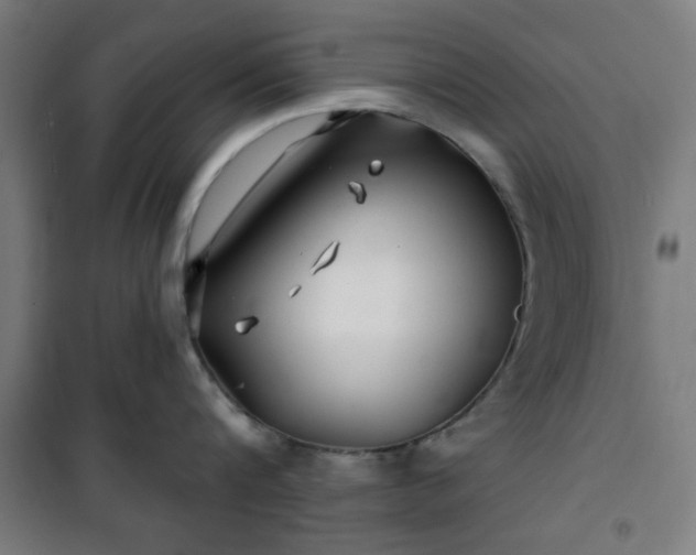 X0000100750816200807031334