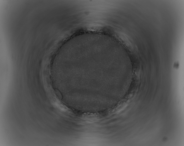 X0000100750817200807031333