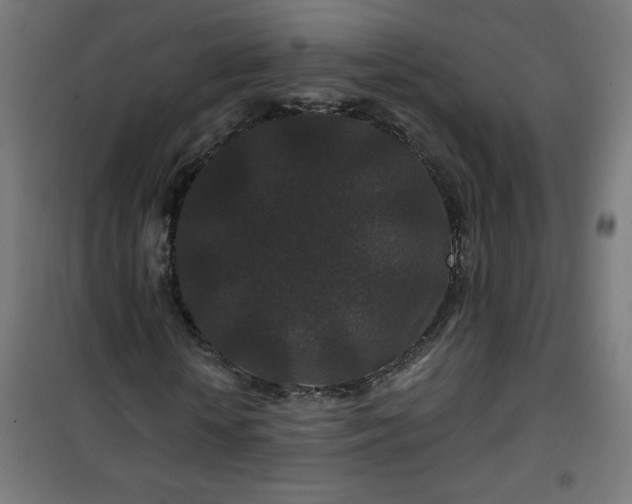 X0000100750818200807031333