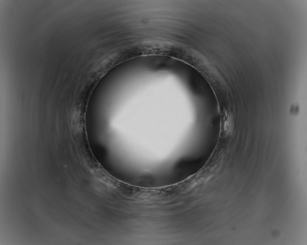 X0000100750819200807031333