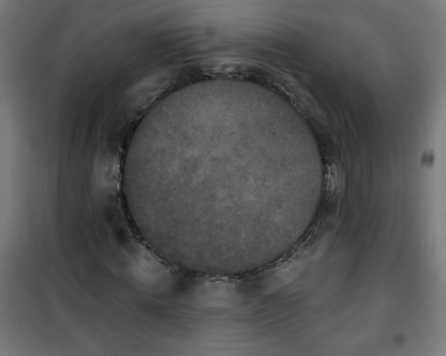 X0000100750820200807031333