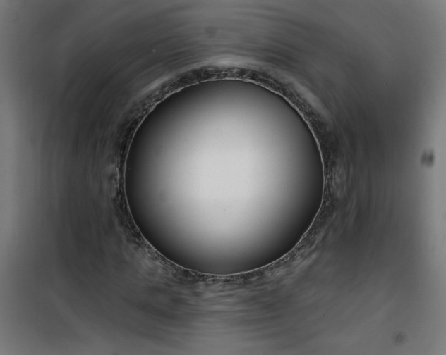 X0000100750821200807031333