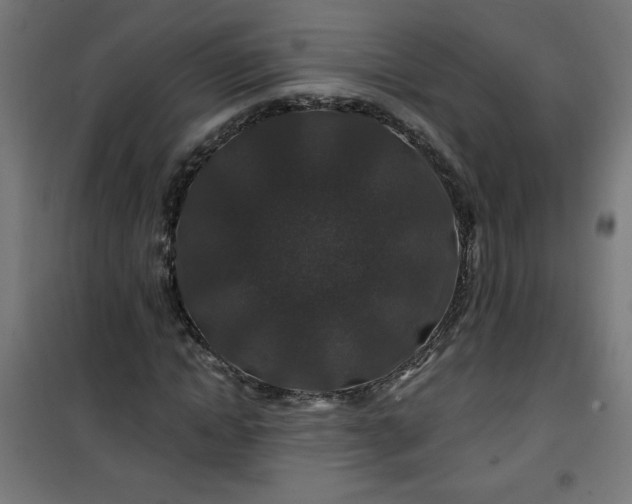 X0000100750822200807031333