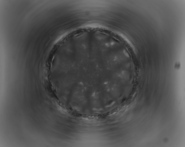 X0000100750823200807031333