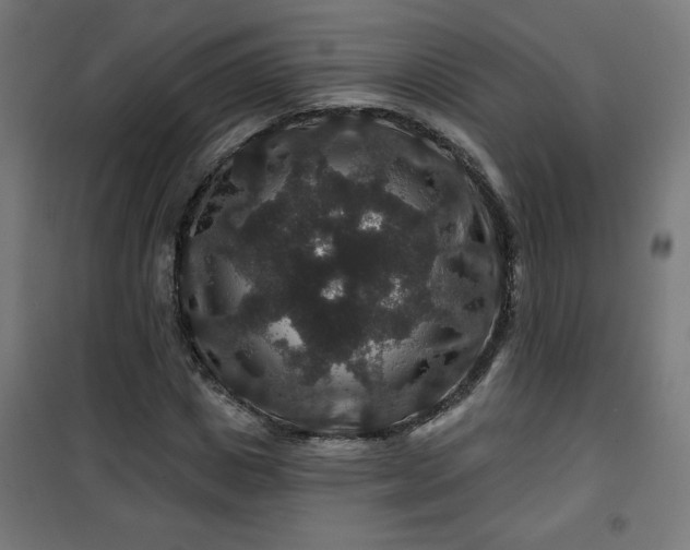 X0000100750825200807031333