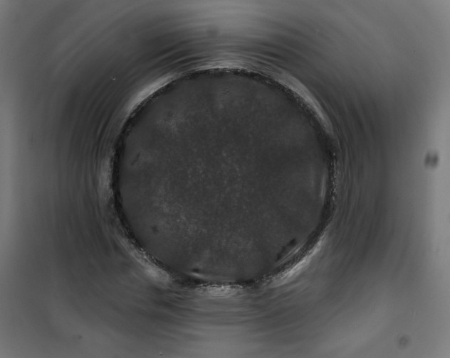 X0000100750826200807031333