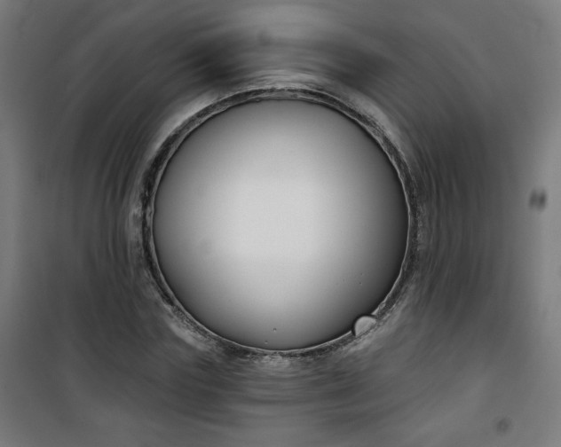 X0000100750827200807031333