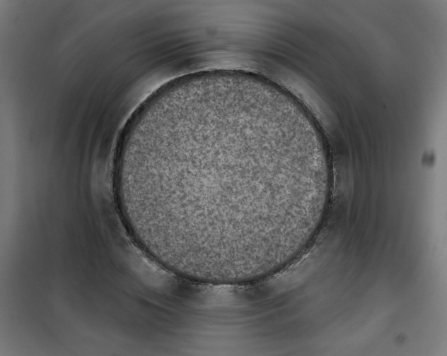 X0000100750828200807031333