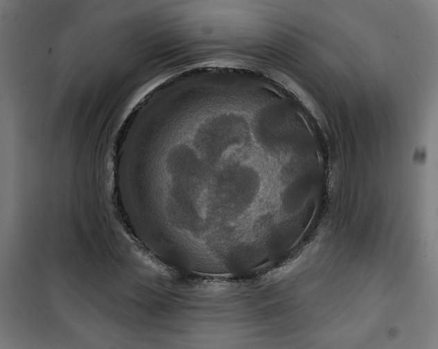 X0000100750829200807031333