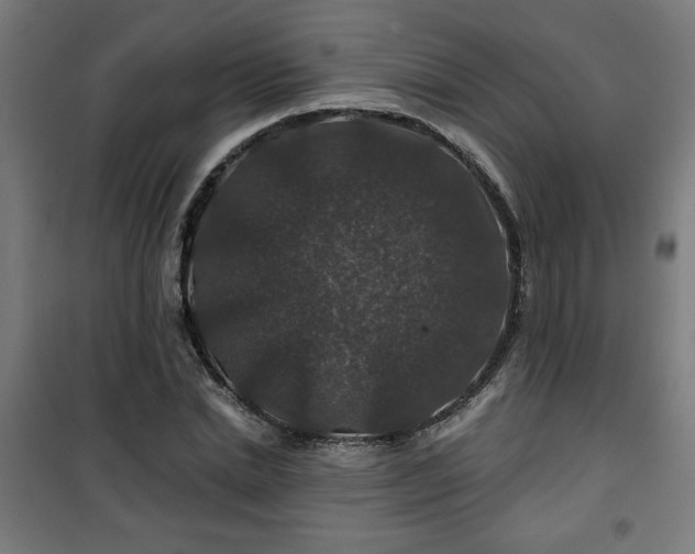 X0000100750830200807031333