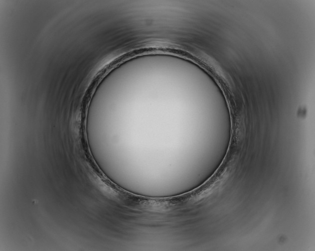 X0000100750831200807031333