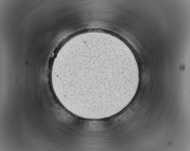 X0000100750832200807031333