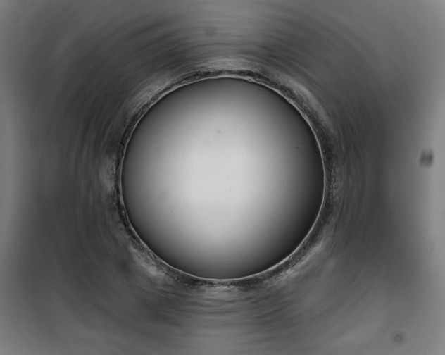 X0000100750833200807031333