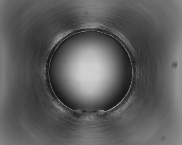 X0000100750834200807031333