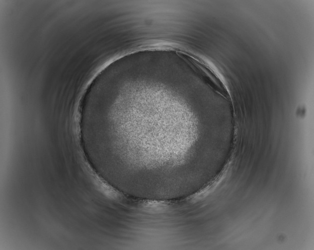 X0000100750835200807031333