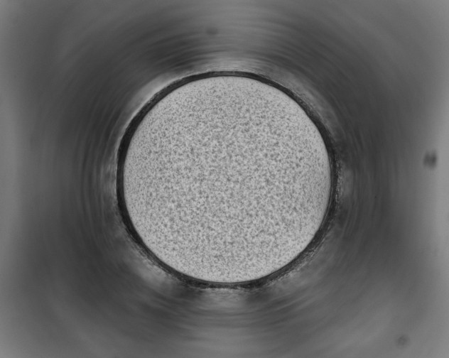 X0000100750836200807031334