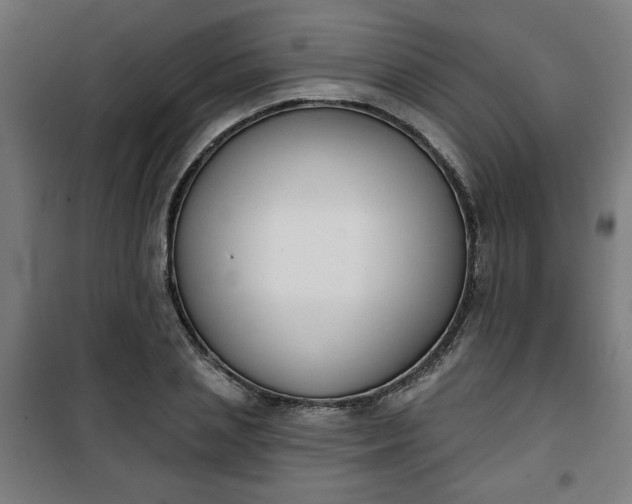 X0000100750837200807031334