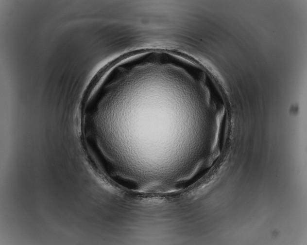 X0000100750838200807031334