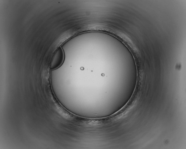 X0000100750841200807031334