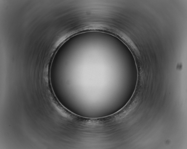 X0000100750842200807031334