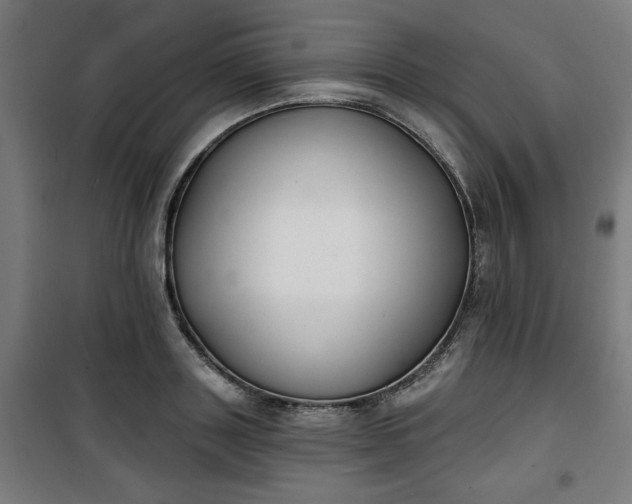 X0000100750843200807031334