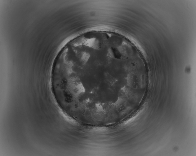 X0000100750845200807031334