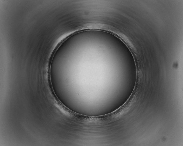 X0000100750846200807031334