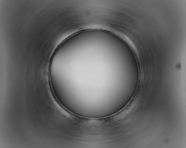 X0000100750847200807031334