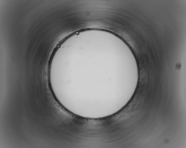 X0000100750848200807031334