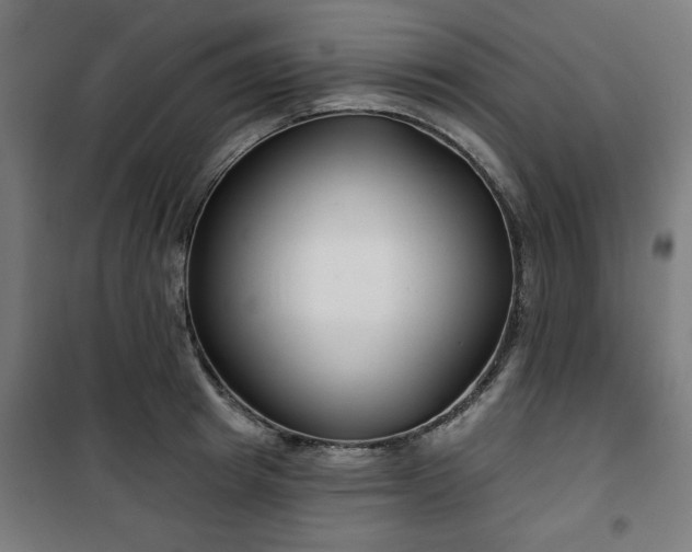 X0000100750849200807031334