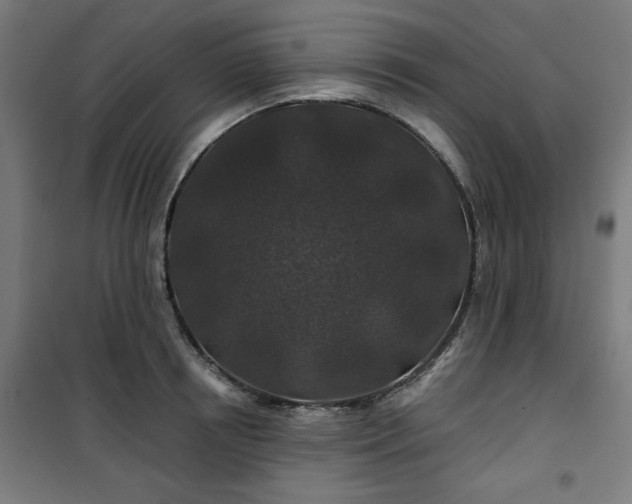 X0000100750850200807031334