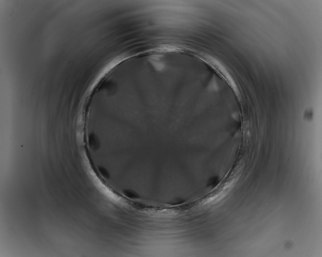 X0000100750851200807031334