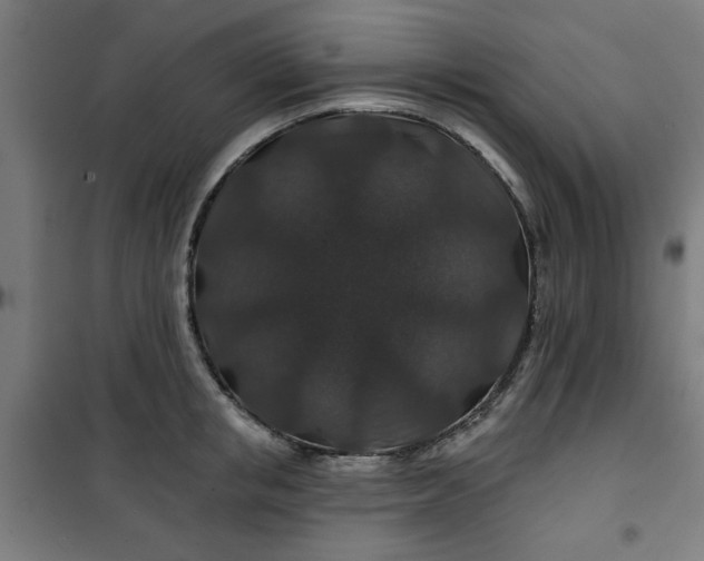 X0000100750853200807031334