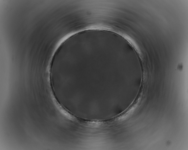 X0000100750854200807031334