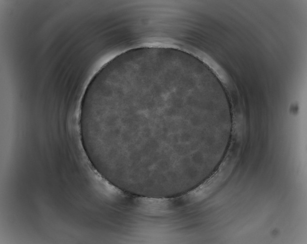 X0000100750856200807031334