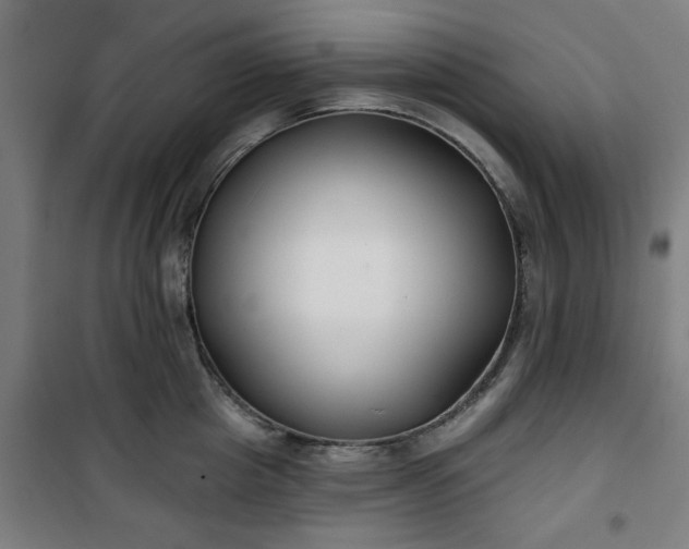 X0000100750857200807031334