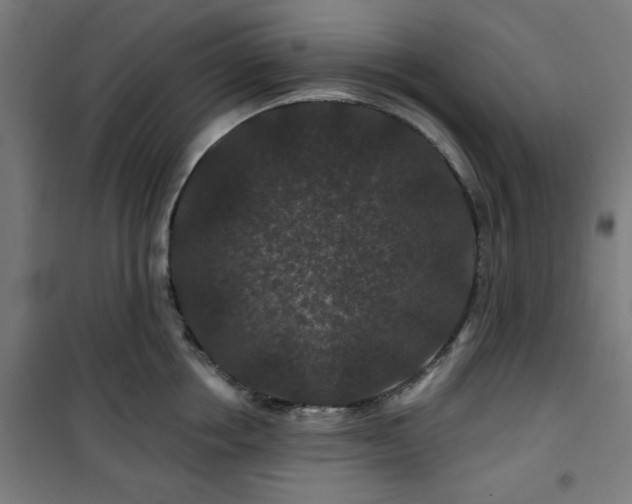 X0000100750858200807031334